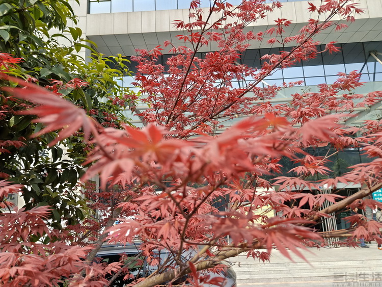 18591872865970.jpg 70.jpg