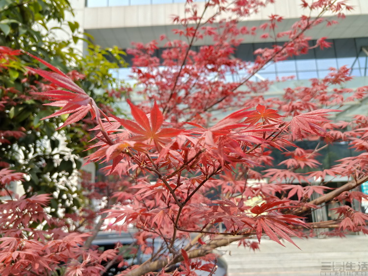 18592568204069.jpg 69.jpg