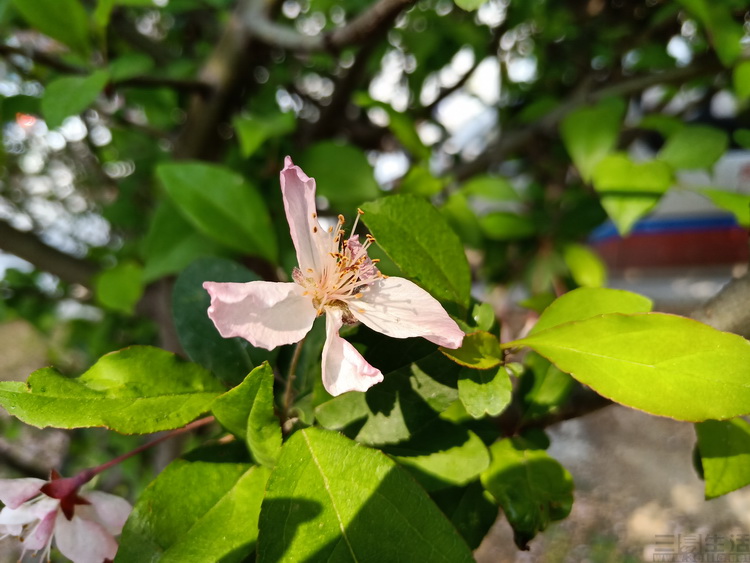 18593791012671.jpg 71.jpg