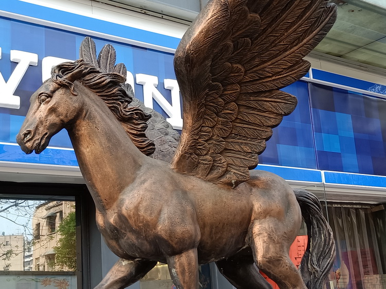 19000237207473.jpg 73.jpg