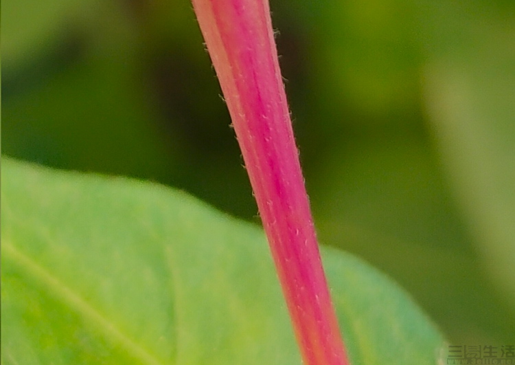76.jpg