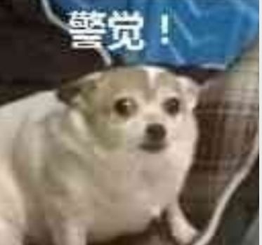 jingjue.jpg