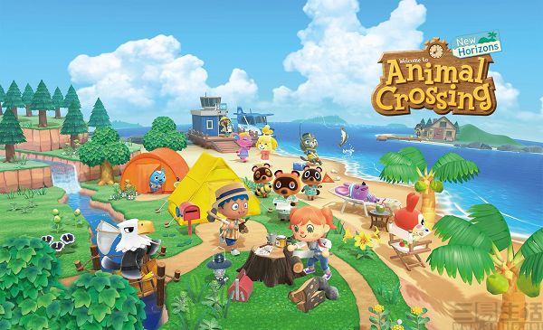 1731071214724.jpg 4.jpg