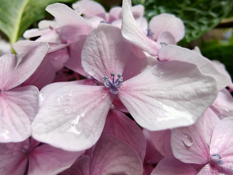 image028.jpg