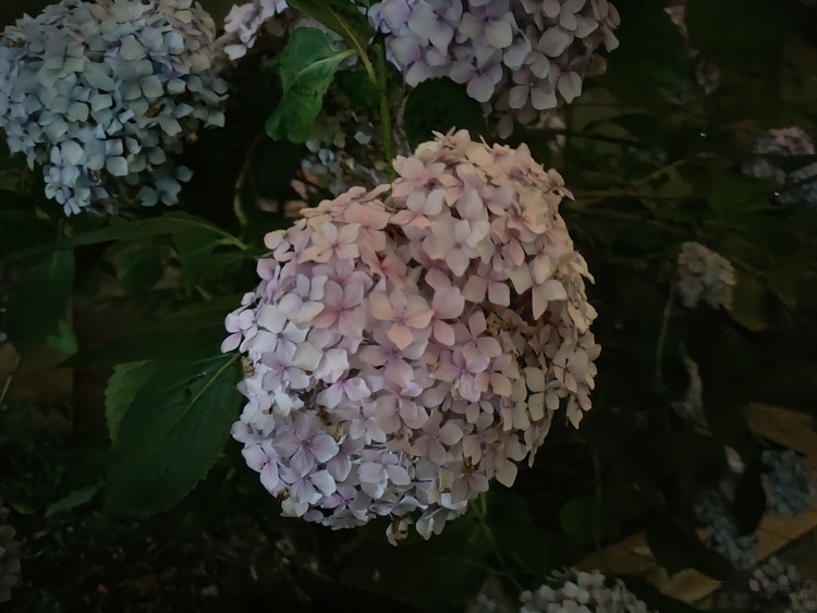 image056.jpg
