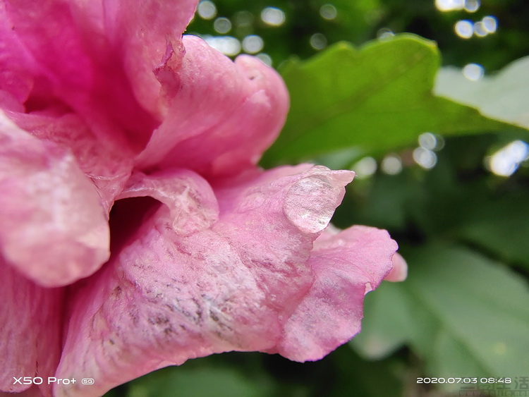 image047.jpg