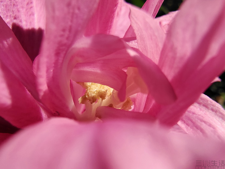 image081.jpg