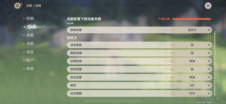 29.JPG