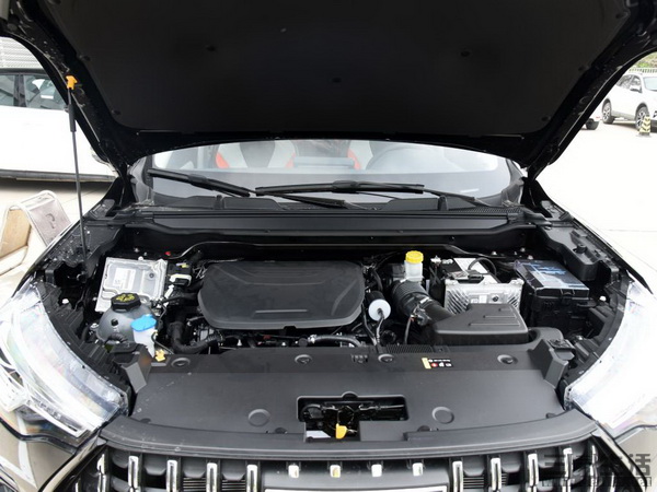 14291176044008.jpg 08.jpg