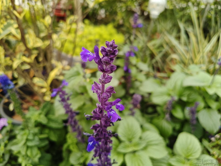 image051.jpg