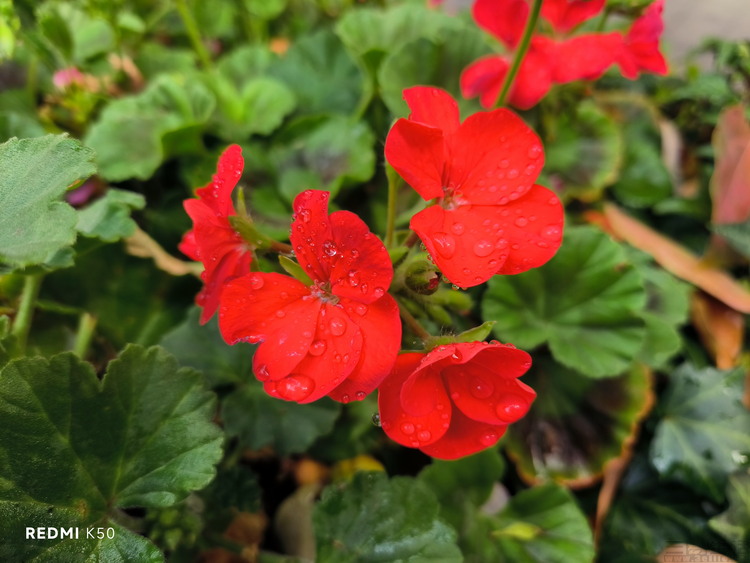 image069.jpg