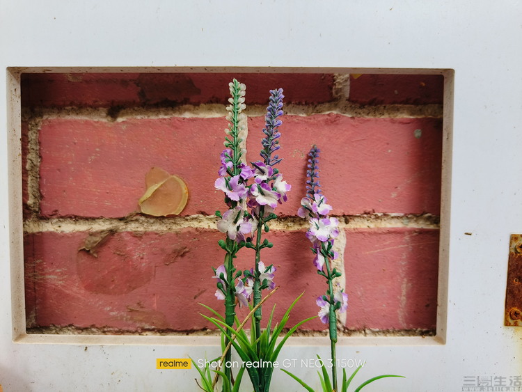 image083.jpg