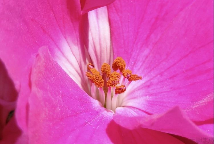 image129.jpg
