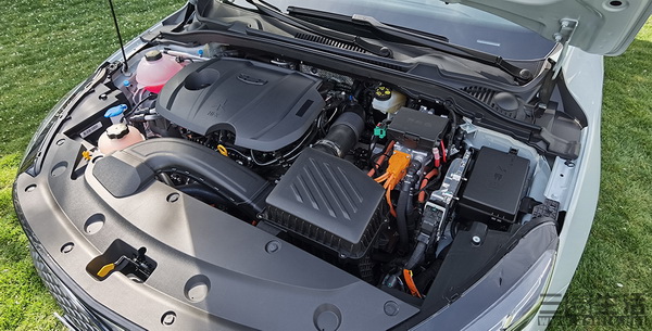 11370854245408.jpg 08.jpg