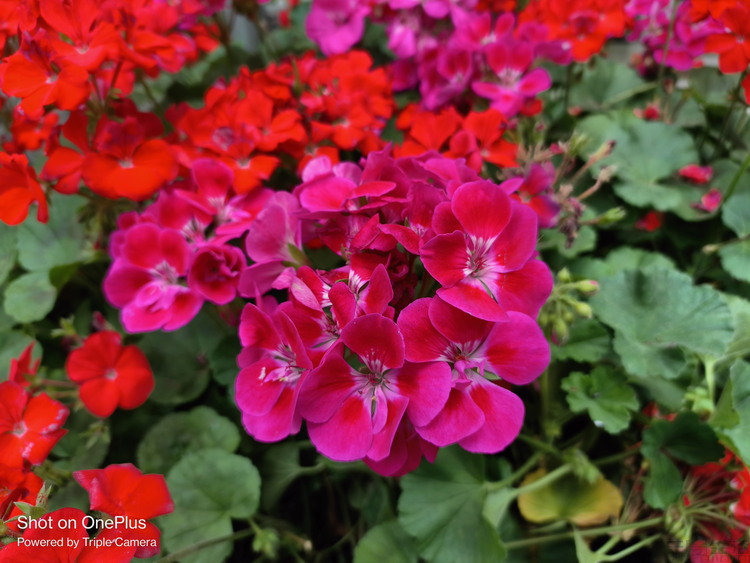 image080.jpg