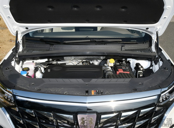 15223687033802.jpg 02.jpg