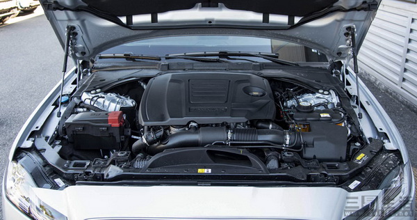 17592445767905.jpg 05.jpg