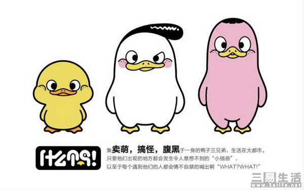 15405520735902.jpg 02.jpg