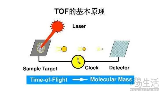 tof-7.jpg