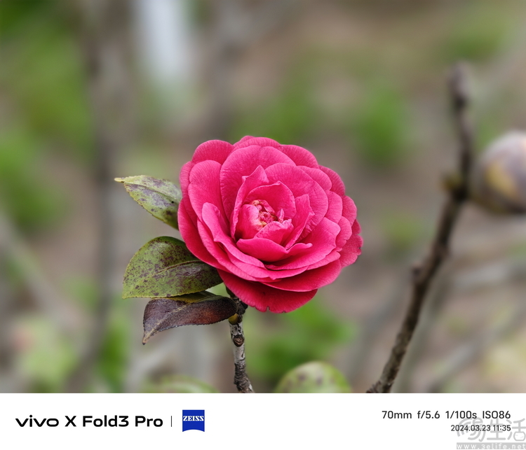 vivo X Fold3 Pro首发评测：重塑“大折叠”旗舰标杆