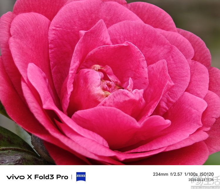 vivo X Fold3 Pro首发评测：重塑“大折叠”旗舰标杆