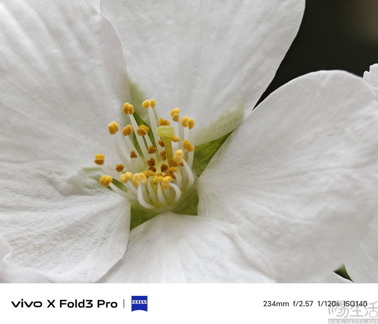 vivo X Fold3 Pro首发评测：重塑“大折叠”旗舰标杆