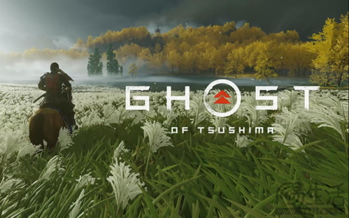 真剑决胜，战鬼犹在！影驰显卡评测《对马岛之魂：导演剪辑版》！