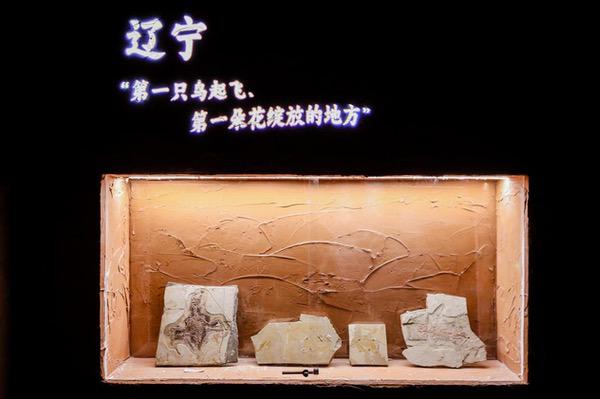 京东方打造东北首个沉浸式数字艺术体验空间