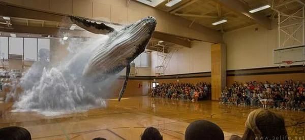 先有eSIM再有国补，智能眼镜真要“人人一副”了