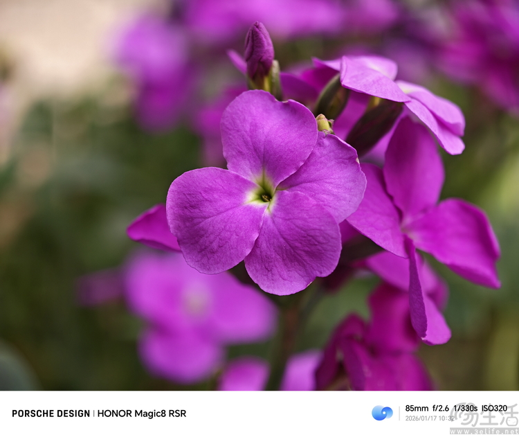 要“尊”还是要“强”?测过荣耀Magic 8 RSR有了答案 要“尊”还是要“强”?测过荣耀Magic 8 RSR有了答案