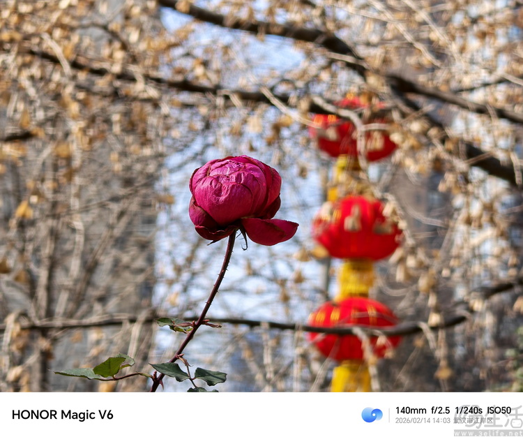 荣耀Magic V6首测：全能无短板，重新定义“大折叠”魅力