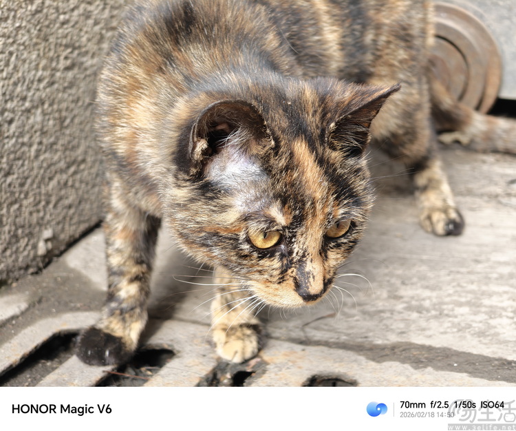 荣耀Magic V6首测：全能无短板，重新定义“大折叠”魅力