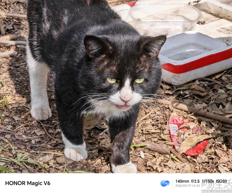 荣耀Magic V6首测：全能无短板，重新定义“大折叠”魅力