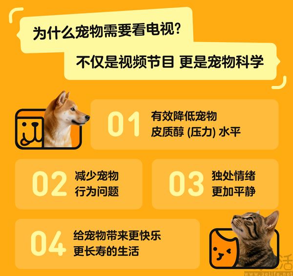 腾讯视频上线宠物TV频道，毛孩子们也能宅家追剧