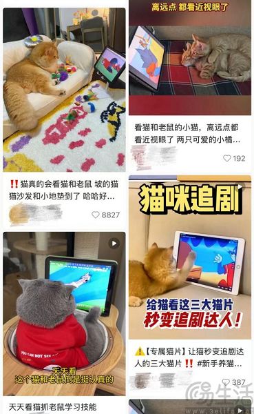 腾讯视频上线宠物TV频道，毛孩子们也能宅家追剧