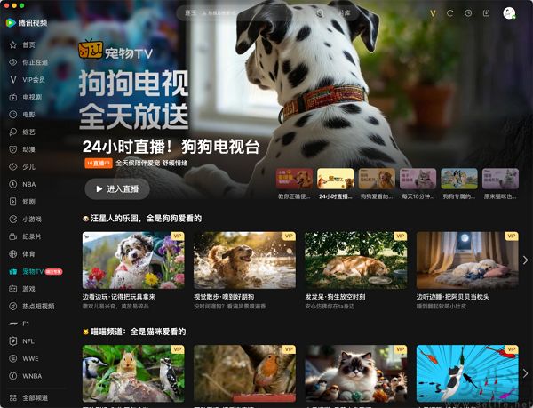 腾讯视频上线宠物TV频道，毛孩子们也能宅家追剧