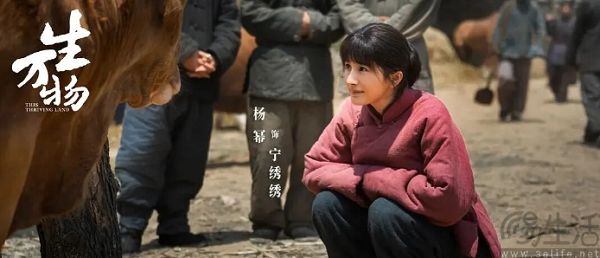 爱奇艺的麻烦，不是“跪求”AI就能解决