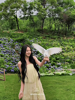 握在掌心里的“小幸运”,为什么只有荣耀能做到 握在掌心里的“小幸运”,为什么只有荣耀能做到