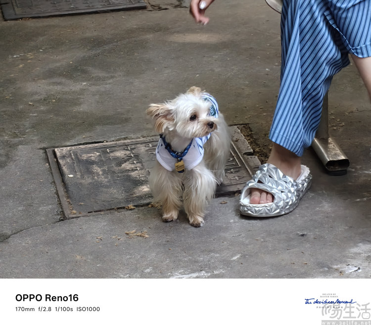 OPPO Reno16评测:精致又用心的小屏新选择 OPPO Reno16评测:精致又用心的小屏新选择