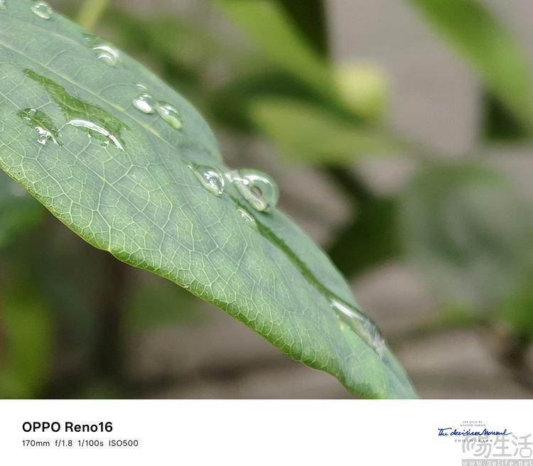 OPPO Reno16评测:精致又用心的小屏新选择 OPPO Reno16评测:精致又用心的小屏新选择