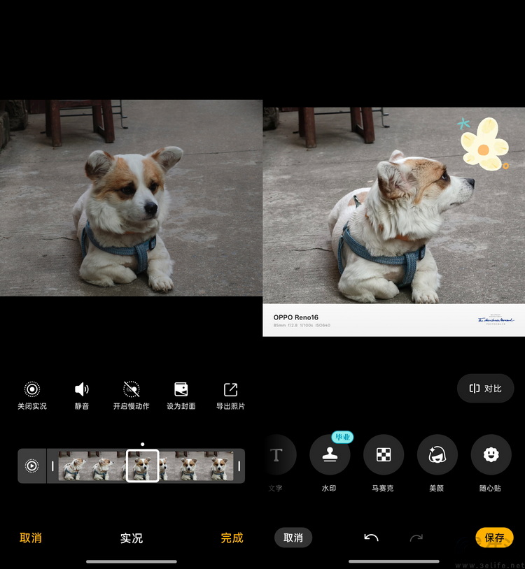 OPPO Reno16评测:精致又用心的小屏新选择 OPPO Reno16评测:精致又用心的小屏新选择