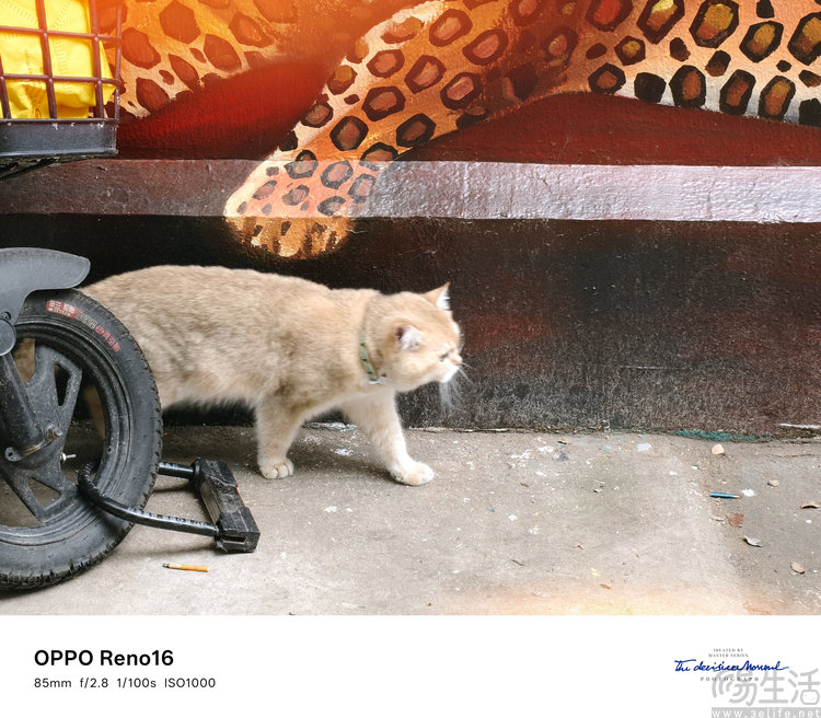 OPPO Reno16评测:精致又用心的小屏新选择 OPPO Reno16评测:精致又用心的小屏新选择