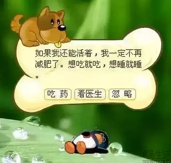 时隔八年，QQ宠物重新出发