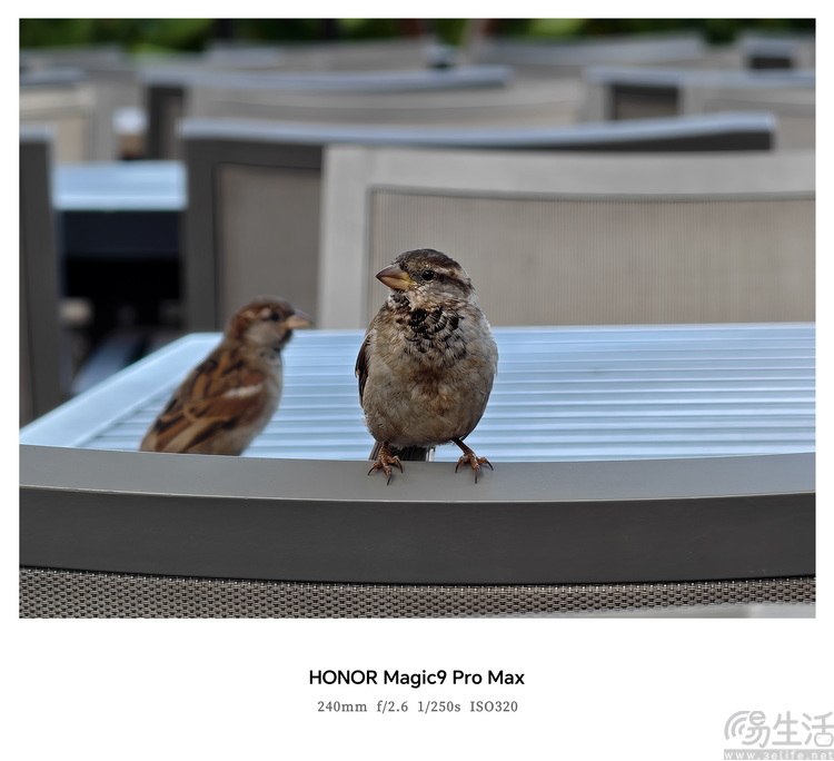 荣耀Magic9 Pro Max体验:“掌中电影机”名副其实 荣耀Magic9 Pro Max体验:“掌中电影机”名副其实