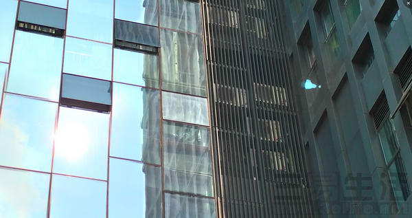 91.jpg