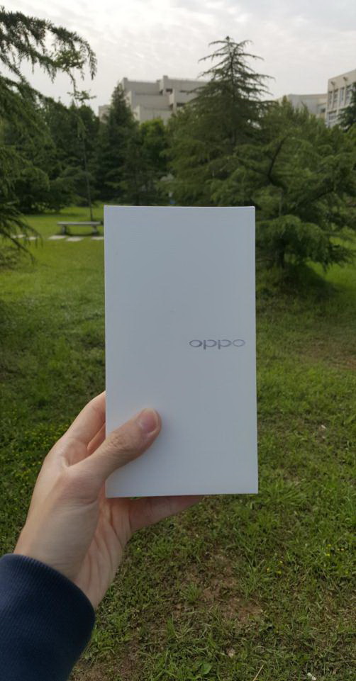 02.jpg