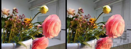 image005.JPG
