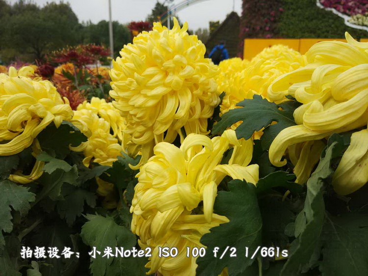 89.jpg