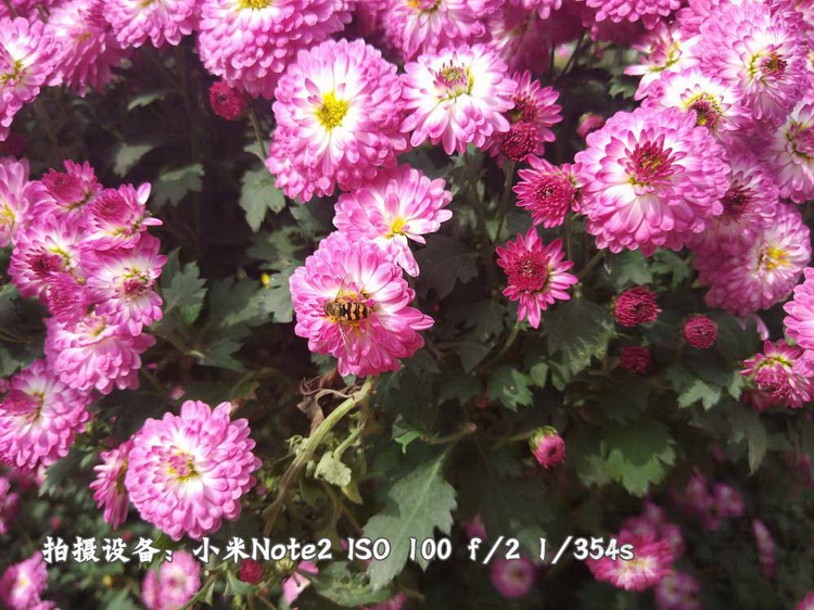 95.jpg
