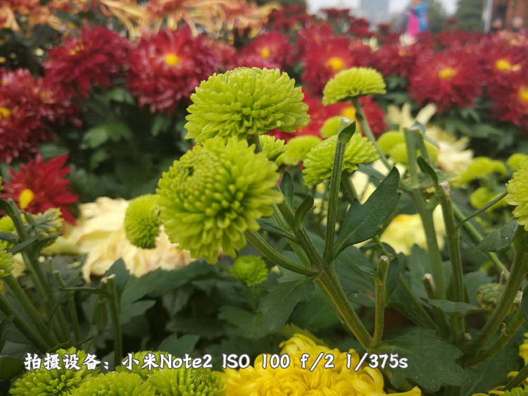 94.jpg